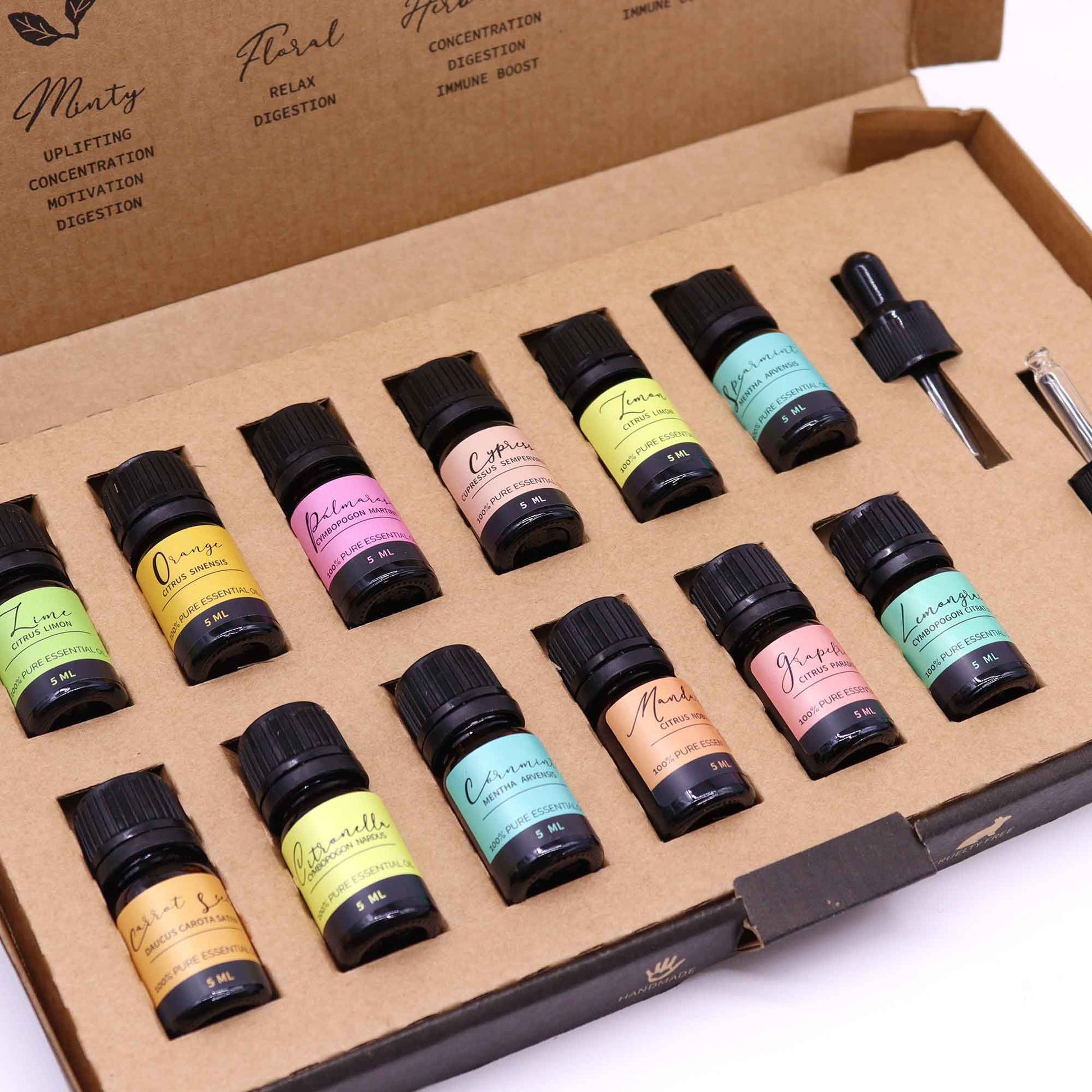 Set of small bottles with colorful labels in a cardboard box