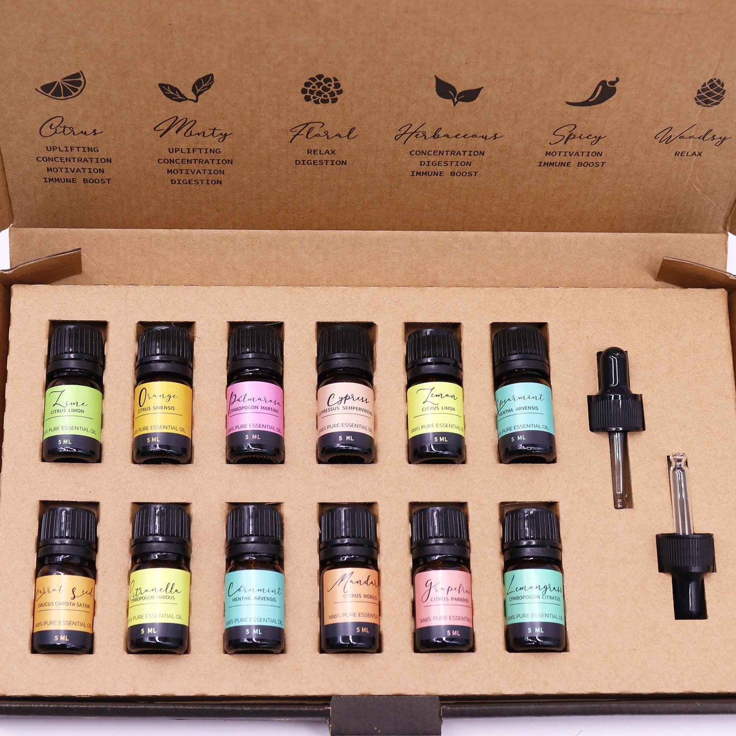 Summer Essential Oil Gift Set - Set of 12