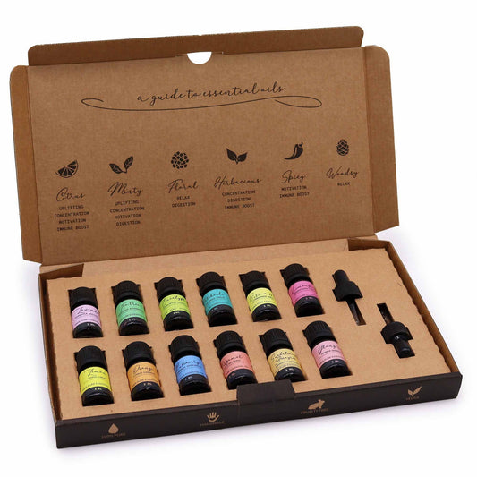 The Everyday Collection Gift Set - Set of 12