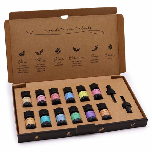 Set of essential oil bottles in a cardboard box with labels on a white background