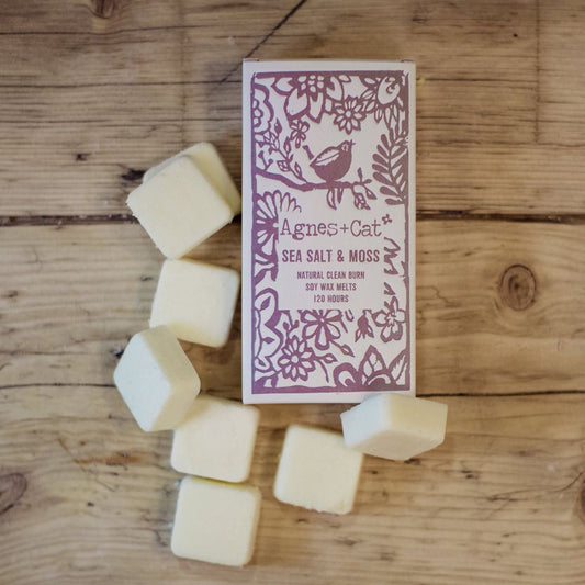 Soy Wax Melts - Sea Salt & Moss - Box of 8