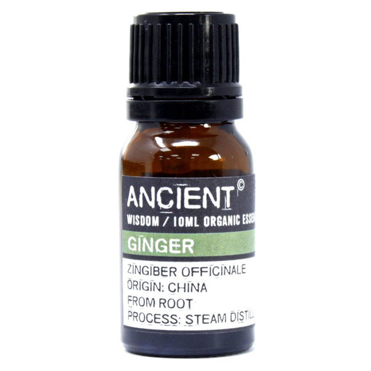 Ginger Organic Essential Oil - 10ml