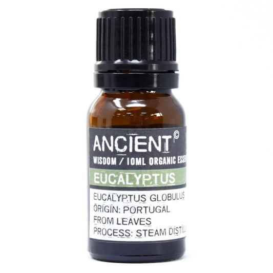 Eucalyptus Organic Essential Oil - 10ml