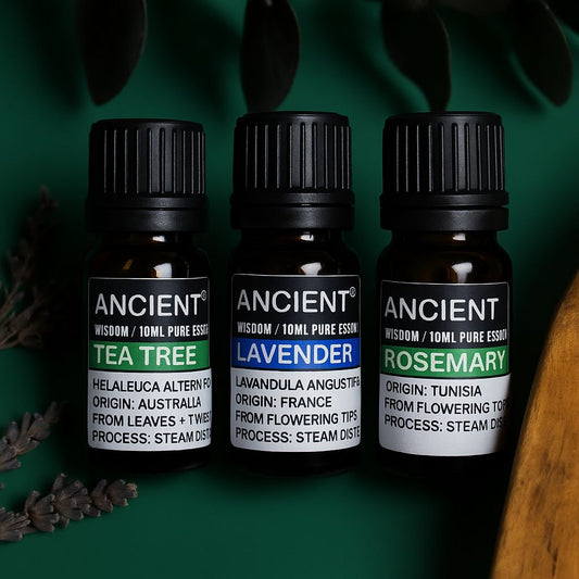 Essential Oil Trio Set - Lavender, Tea Tree & Rosemary