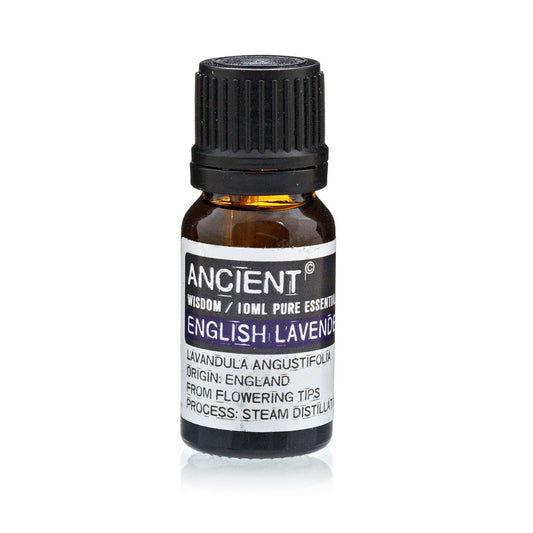 English Lavender Essential Oil - 10ml